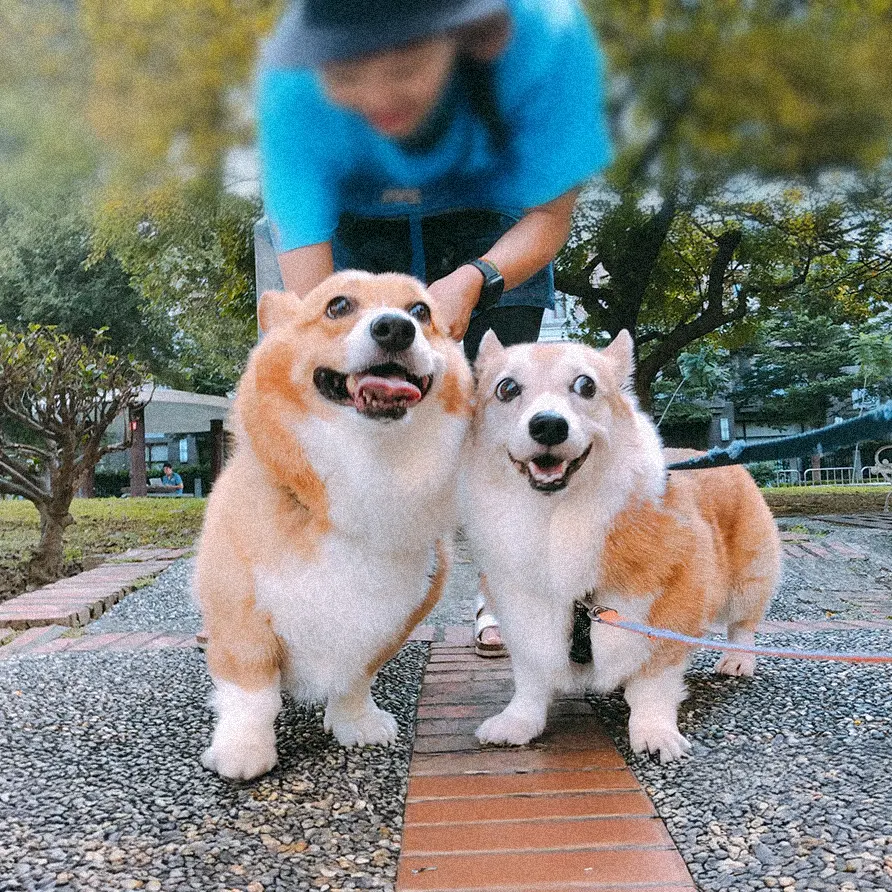 1 (2)